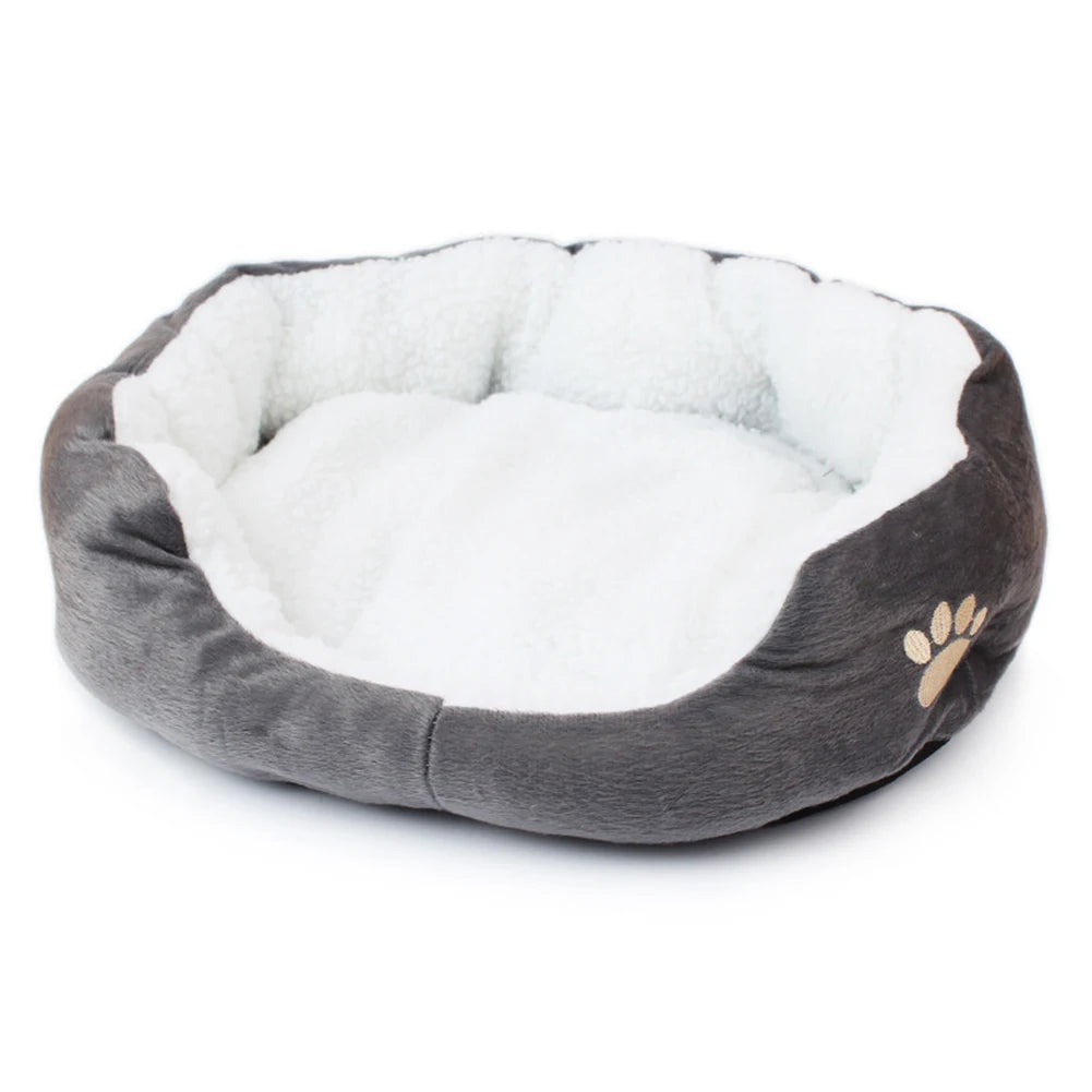 Comfy Bed