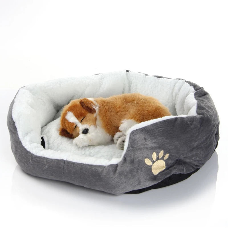 Comfy Bed